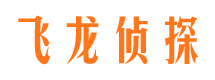 肥城市侦探调查公司